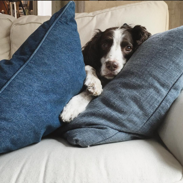 Screen Shot 2017-08-11 at 10.02.20 AM